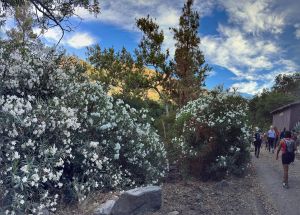 Holy Jim Falls Hike